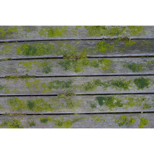 RYOBI Wood Scrubbing Brush for RY18PCB0 (Single) RAC820 Atlas